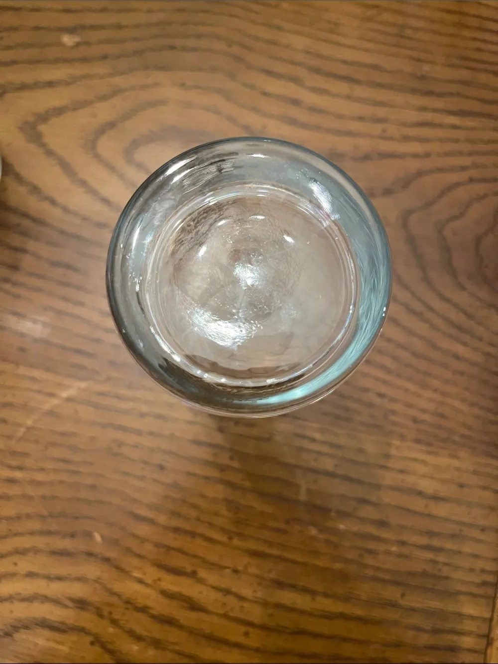 Set of 6 Golden Pines Tumblers